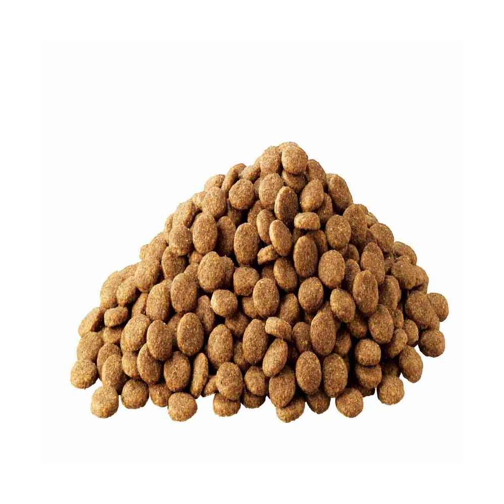 マースジャパン アイムス 成犬用 体重管理用 チキン 中粒 5kg - Image 3