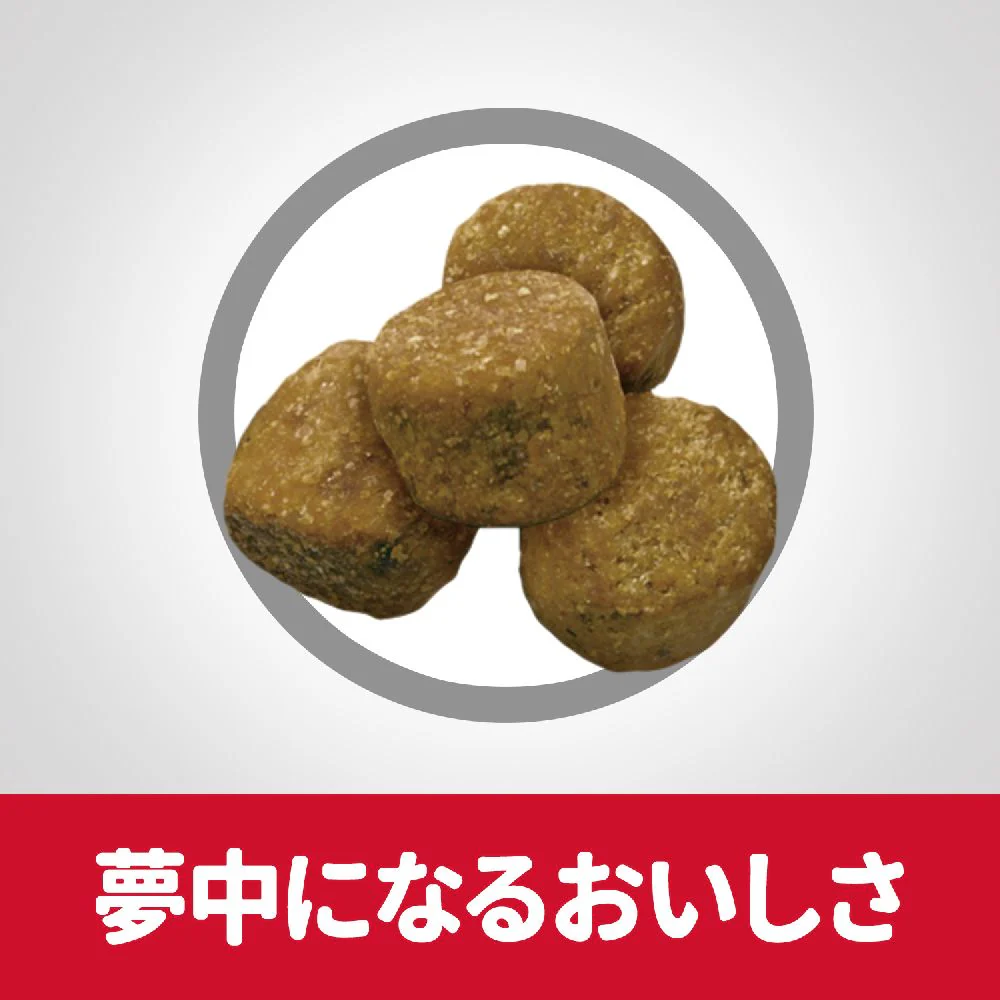ヒルズ サイエンスダイエット ライト中粒肥満傾向の成犬用 6.5kg - Image 6