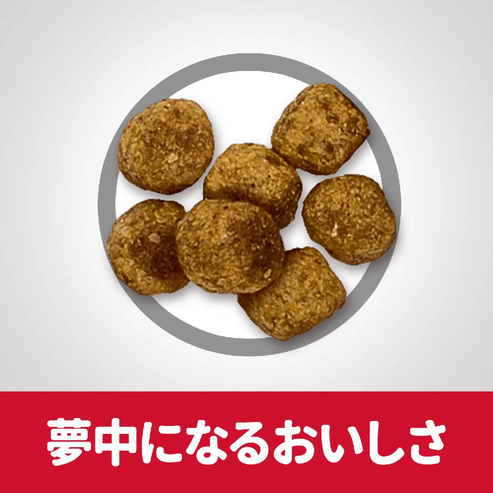 ヒルズ サイエンスダイエット ライト小粒肥満傾向の成犬用 6.5kg - Image 6