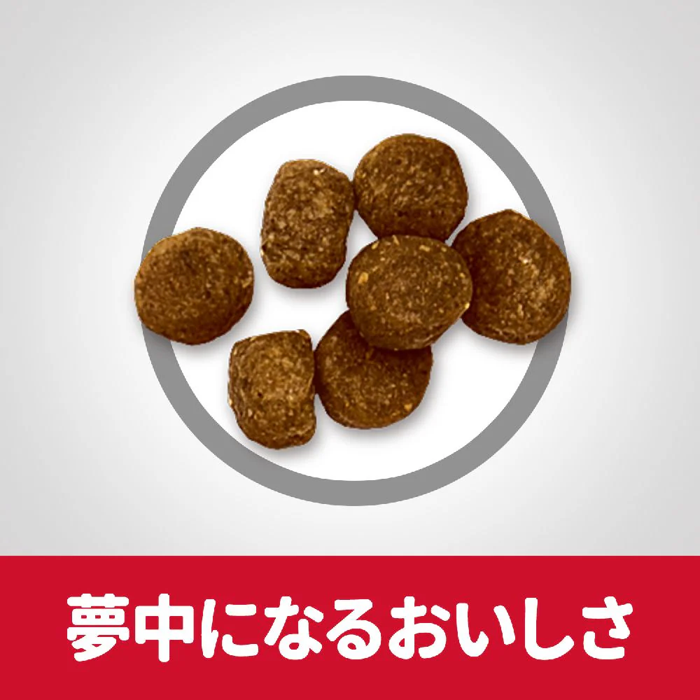 ヒルズ サイエンスダイエット シニアプラス小粒高齢犬用 6.5kg - Image 6
