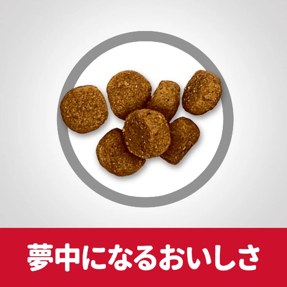 ヒルズ サイエンスダイエット パピー小粒子いぬ用 6.5kg - Image 6