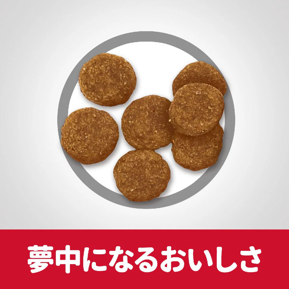ヒルズ サイエンスダイエット アダルトラム＆ライス小粒成犬用 6.5kg - Image 6
