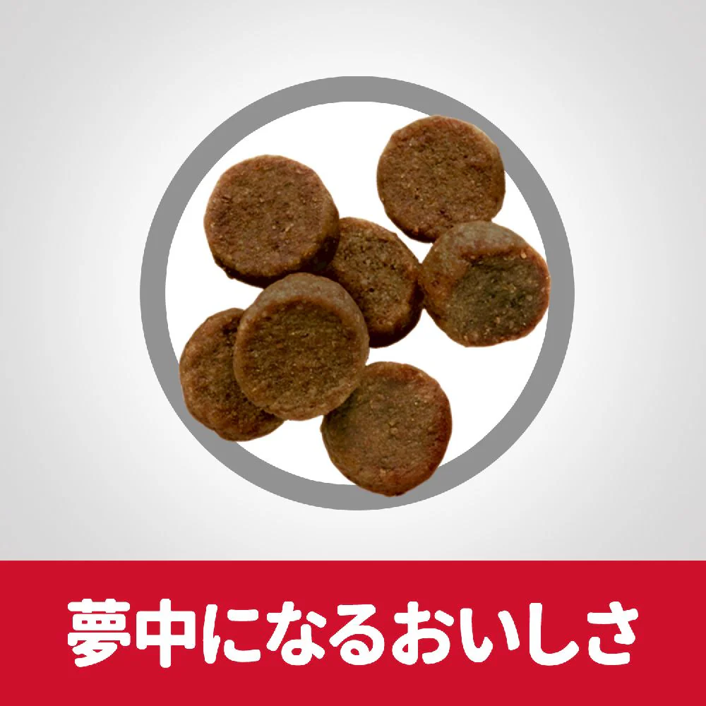 ヒルズ サイエンスダイエット パピー大型犬種用子いぬ用 12kg - Image 6