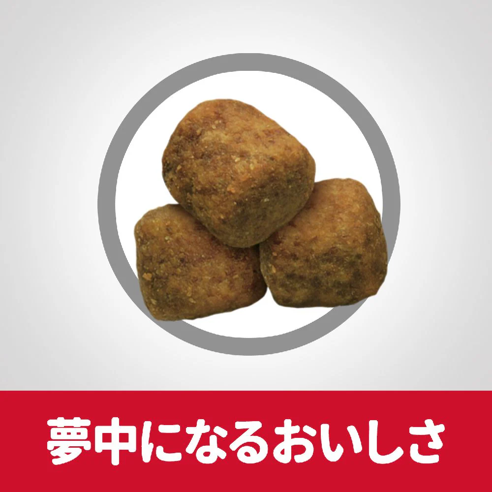 ヒルズ サイエンスダイエット アダルト大型犬用成犬用 12kg - Image 6