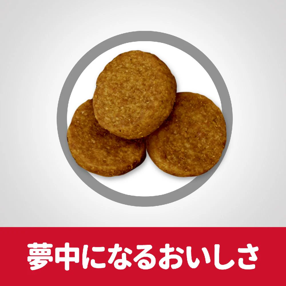 ヒルズ サイエンスダイエット シニア大型犬用高齢犬用 12kg - Image 6