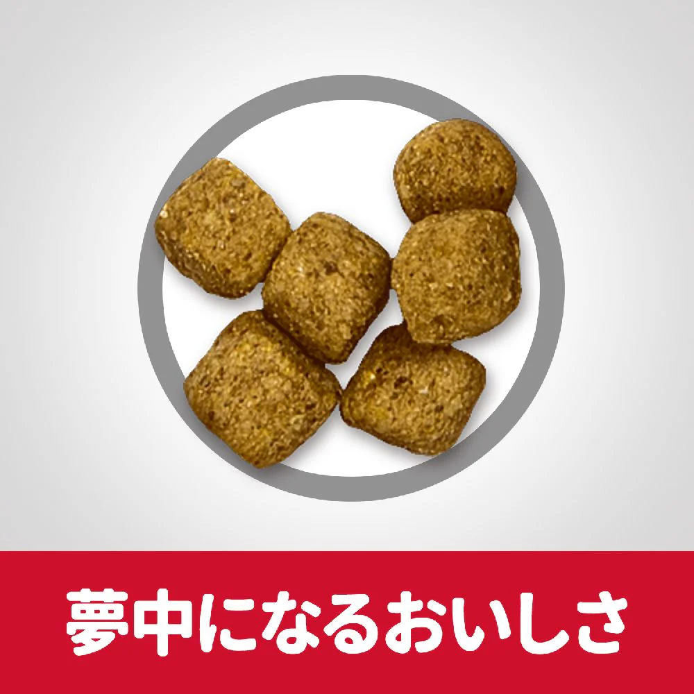 ヒルズ サイエンスダイエット シニアライト小粒肥満傾向高齢犬 12kg - Image 6