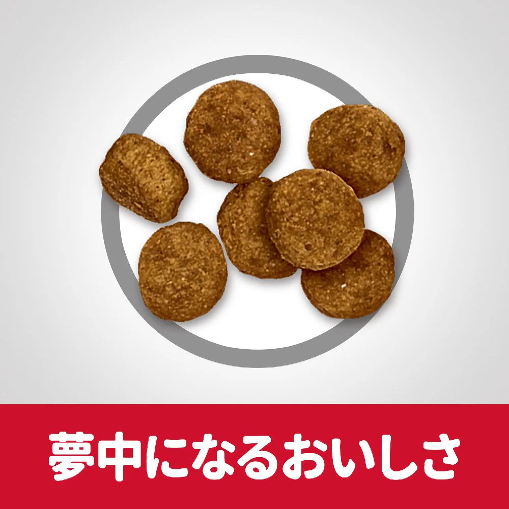ヒルズ サイエンスダイエット シニア小粒高齢犬 12kg - Image 6
