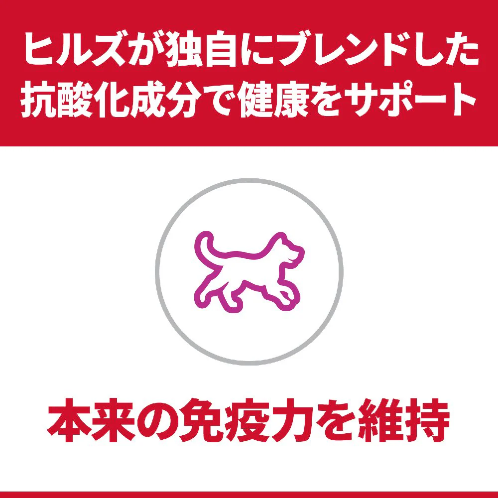 ヒルズ サイエンスダイエット 小型犬アダルトラム&ライス成犬 3kg - Image 5