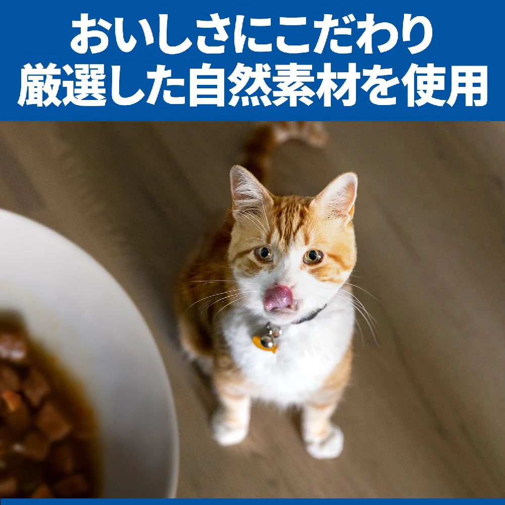 ヒルズ サイエンスダイエット 猫用腸の健康サポート1歳チキン 2.5kg - Image 6