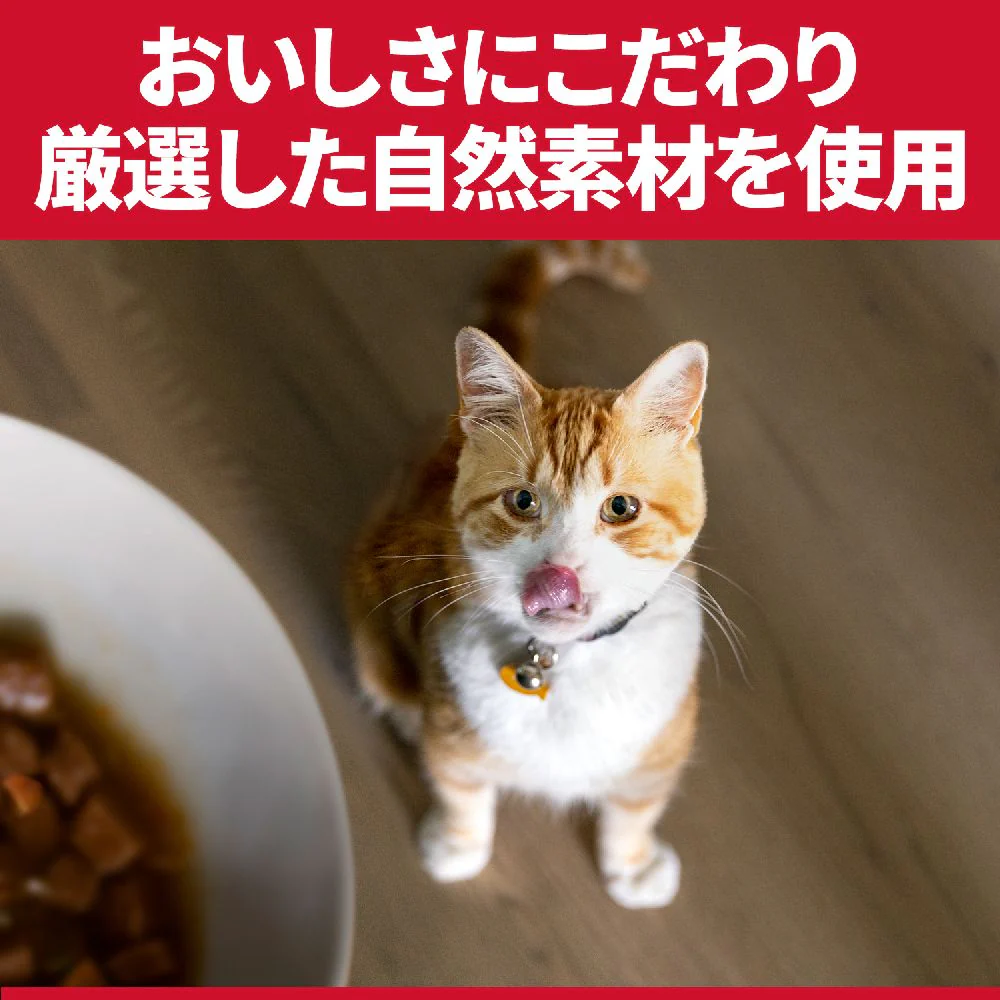 ヒルズ サイエンスダイエット 猫用インドアシニアチキン高齢猫 200g - Image 6