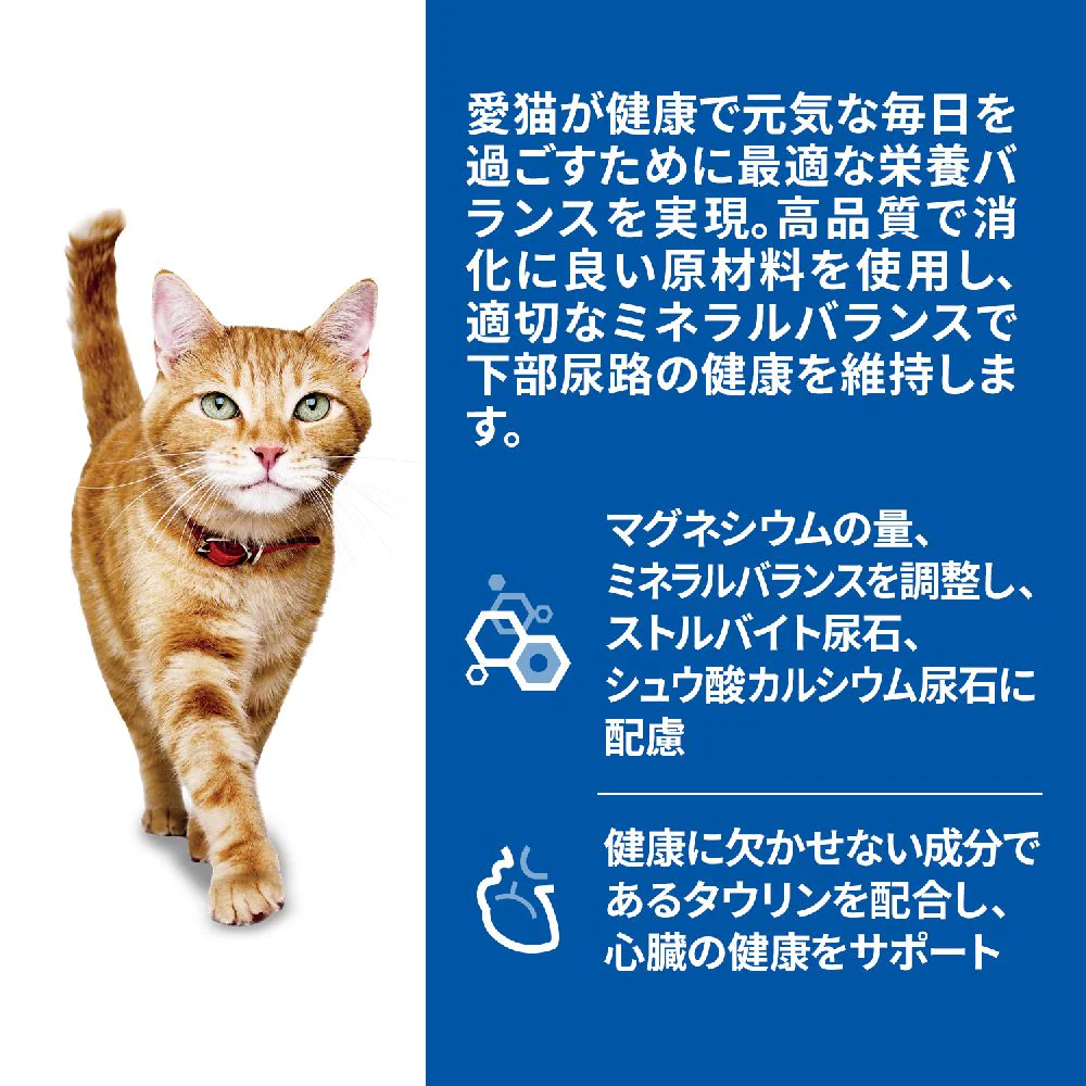 ヒルズ サイエンスダイエット 猫用シニアサーモン7歳以上高齢猫用パウチ 85g - Image 4