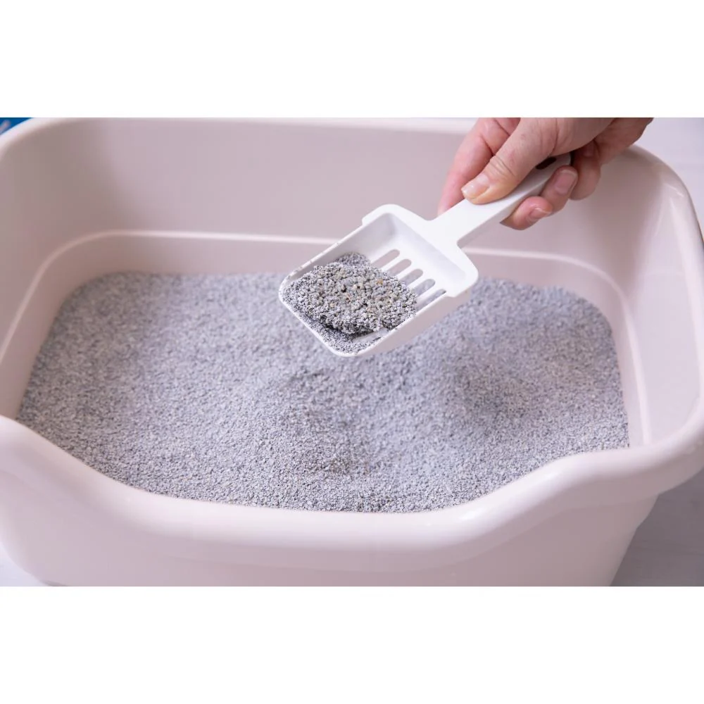 オードロック 6kg 【直送品】 返品・キャンセル・他商品と同時購入は不可 - Image 10