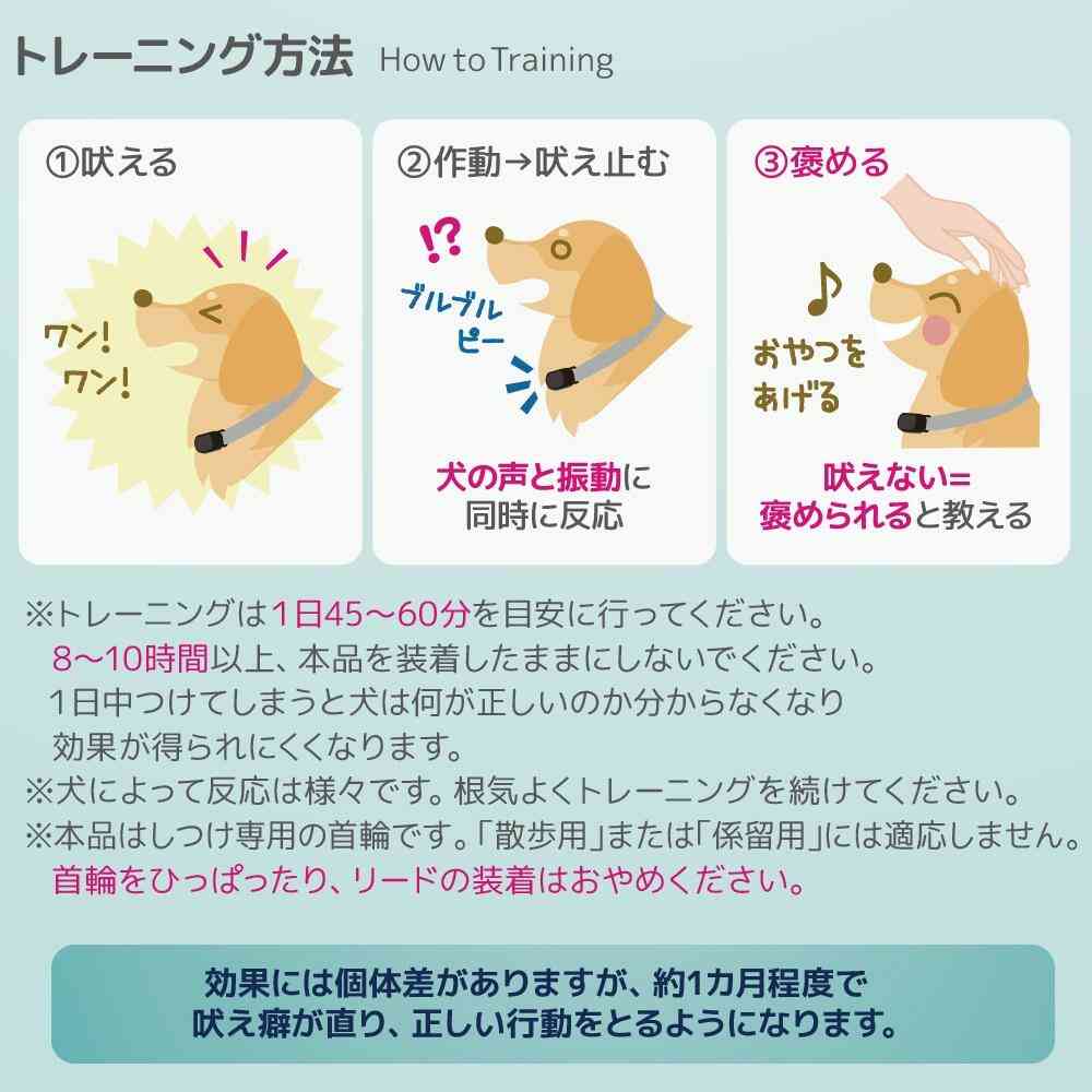 ノーバーク トレーニングカラー Sサイズ 【直送品】 返品・キャンセル・他商品と同時購入は不可 - Image 9