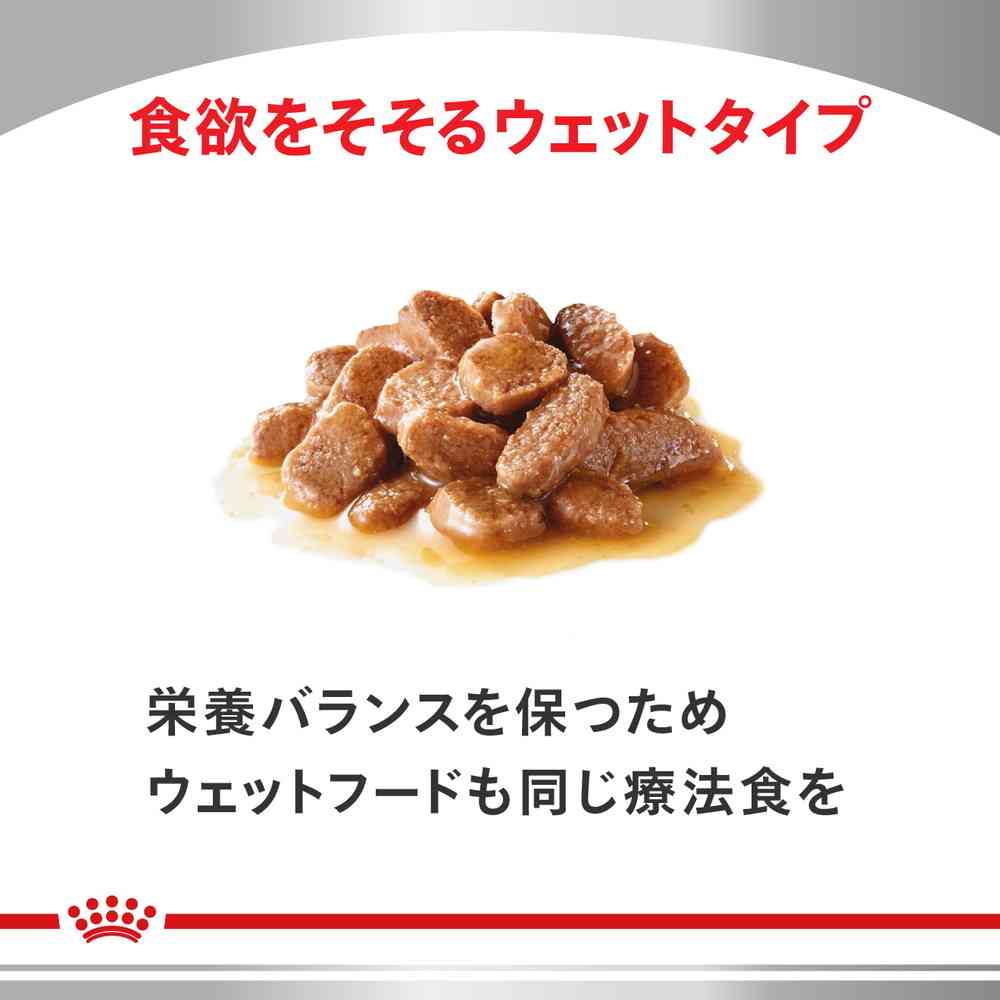 猫用 腎臓サポート スペシャル 4kgx1 - Image 5