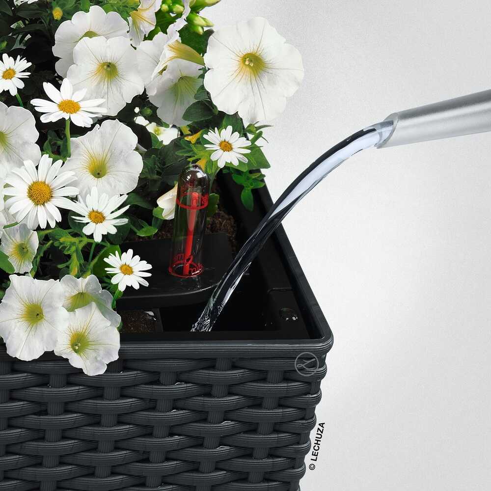 Lechuza 底面給水プランター バルコネラ コテージ 【直送品】 返品・キャンセル・他商品と同時購入は不可 - Image 7