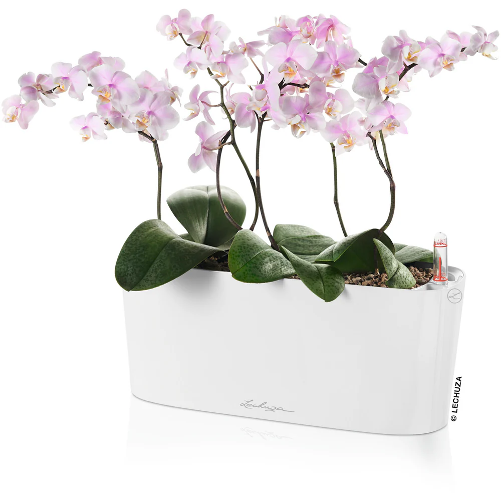Lechuza 底面給水プランター デルタ10 土容量2L 【直送品】 返品・キャンセル・他商品と同時購入は不可 - Image 2