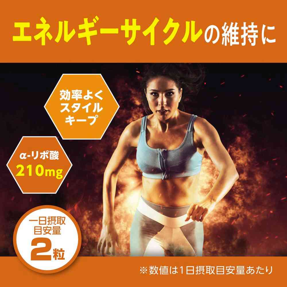 ◆DHC α-リポ酸 60日分 120粒 - Image 9