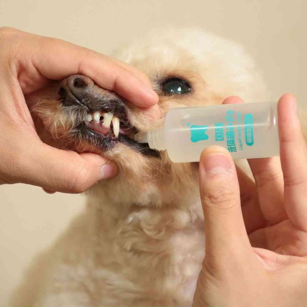 トーラス 国産 液体歯みがき 25ml - Image 3