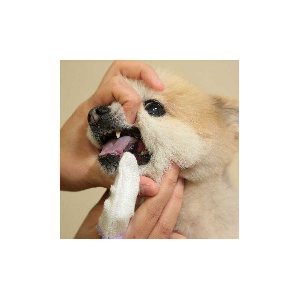 トーラス フィンガー歯ブラシスリム 2枚 - Image 11