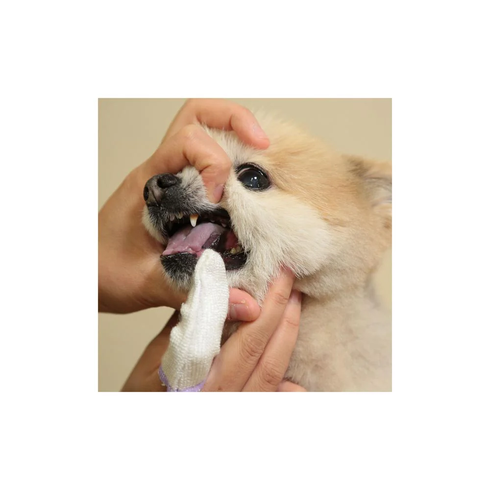 トーラス フィンガー歯ブラシスリム 2枚 - Image 4