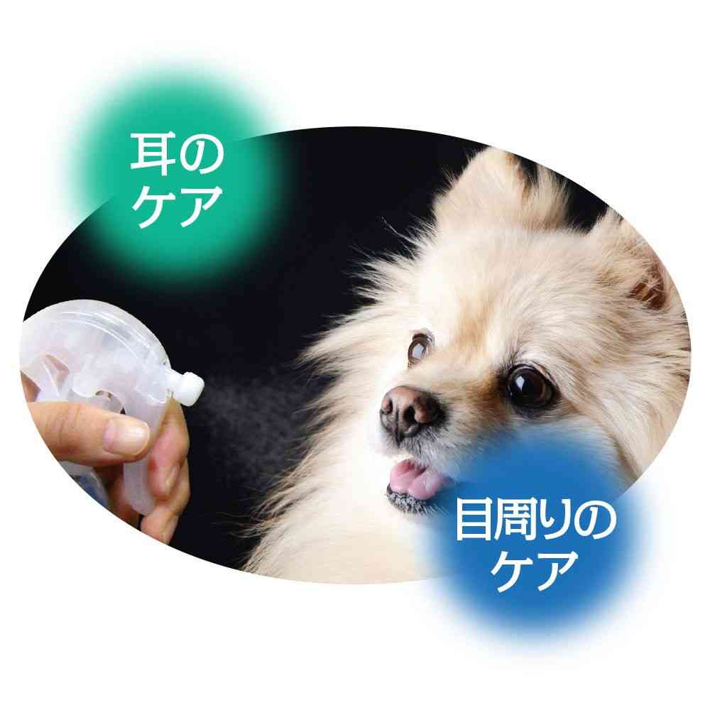 トーラス まるごとお手入れスプレー 300ml - Image 3