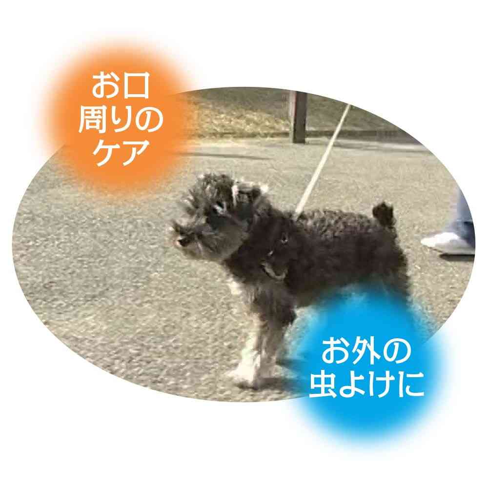 トーラス まるごとお手入れスプレー 300ml - Image 6