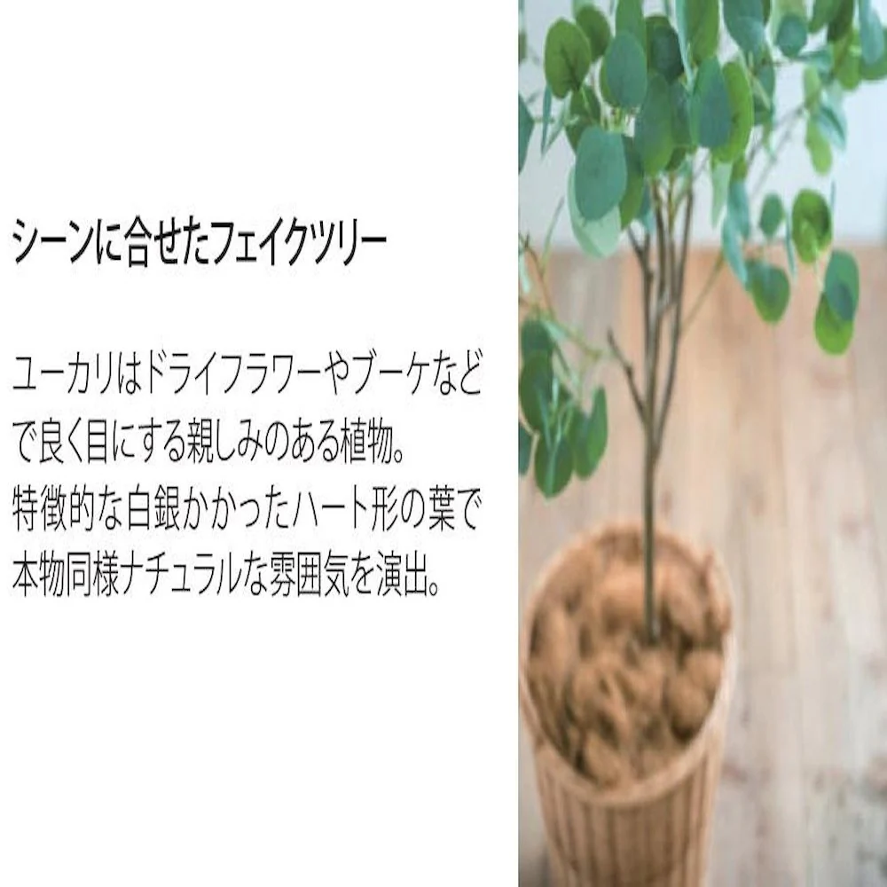 81022 フェイクツリー ユーカリ 【直送品】 返品・キャンセル・他商品と同時購入は不可 - Image 2