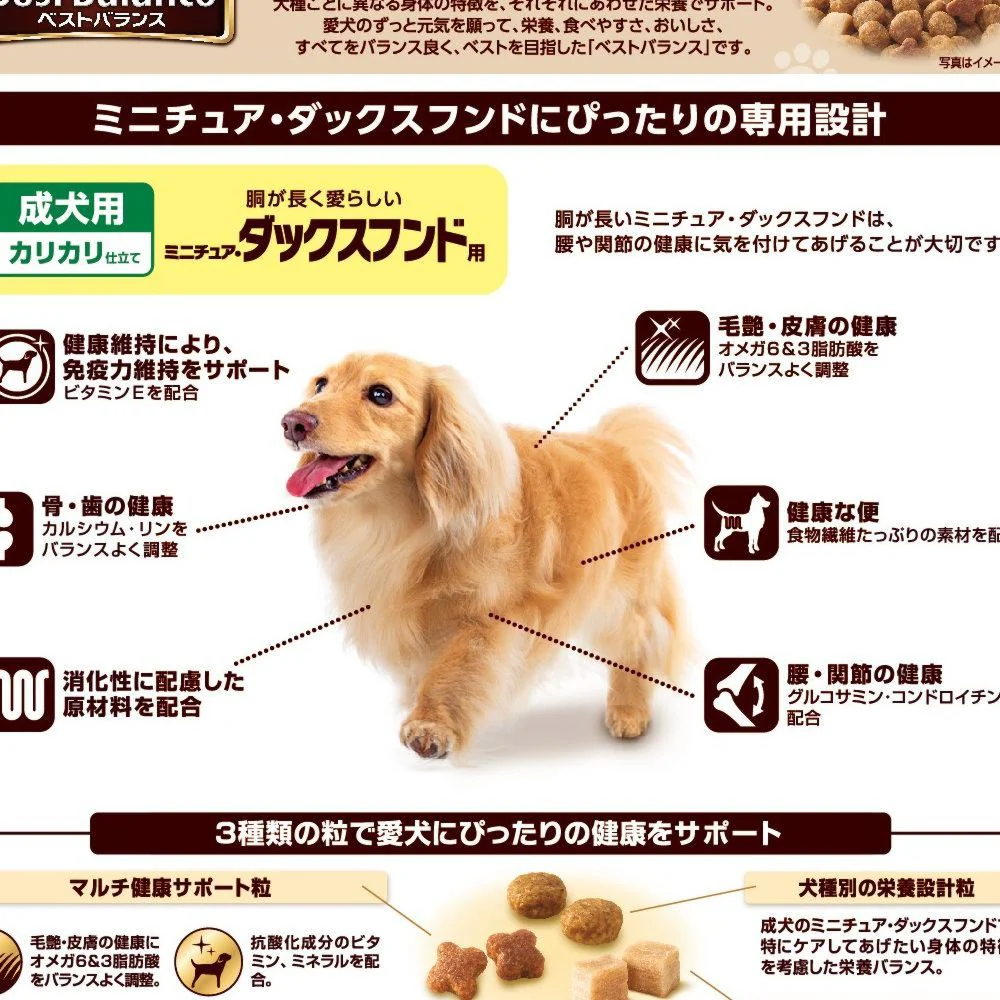 ベストバランスMダックス用 1.8kg - Image 2