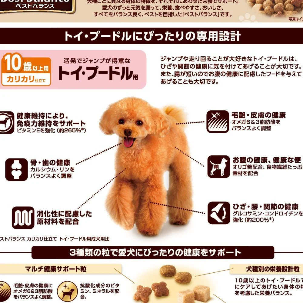ベストバランストイプードル用10歳 1.8kg - Image 2