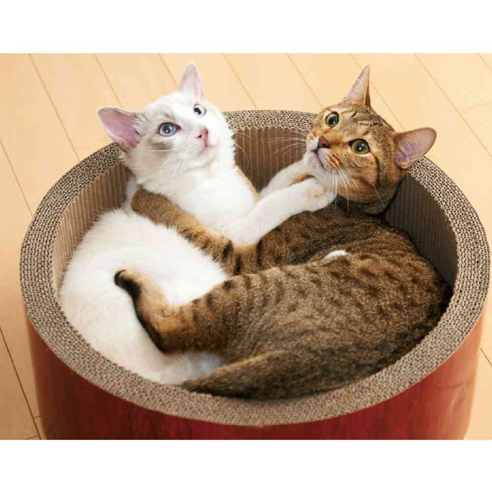 ガリガリサークル スクラッチャー ビッグ 【直送品】 返品・キャンセル・他商品と同時購入は不可 - Image 3