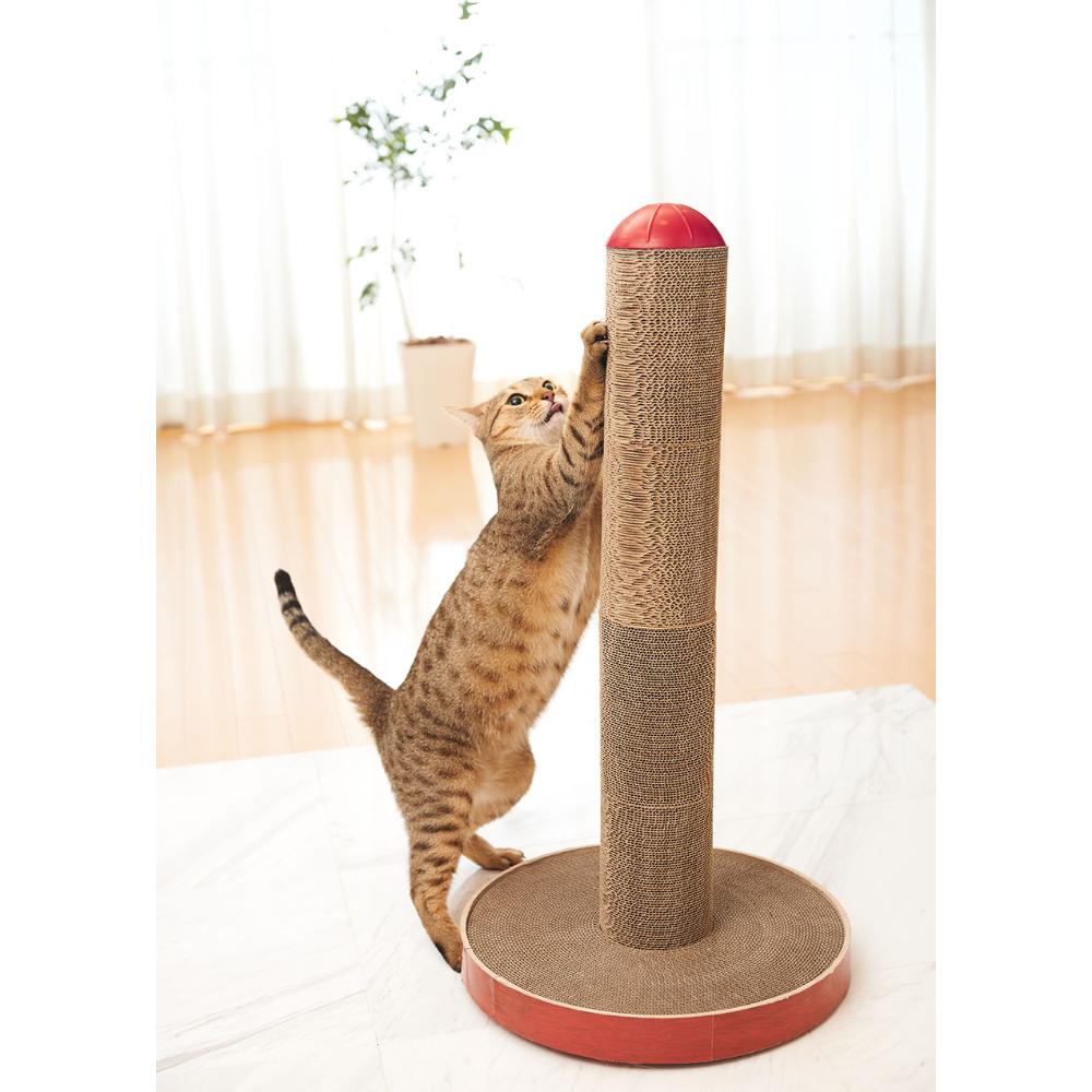 ガリガリポール スクラッチャー 【直送品】 返品・キャンセル・他商品と同時購入は不可 - Image 3
