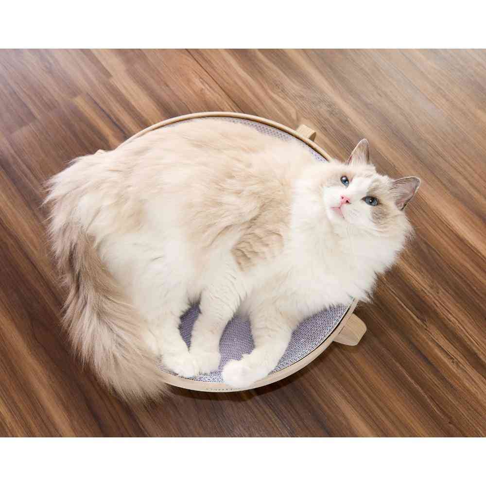 ガリガリスイート ラウンド ウォームグレージュ 【直送品】 返品・キャンセル・他商品と同時購入は不可 - Image 5