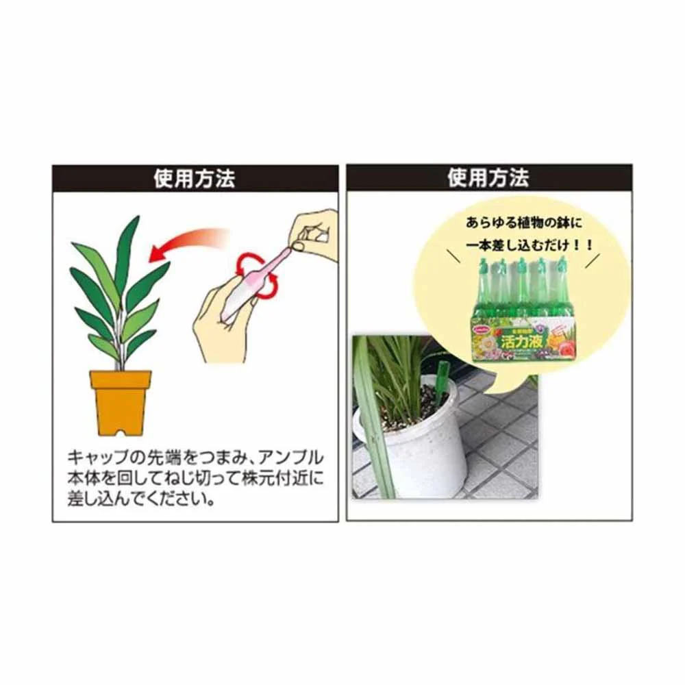 サンアンドホープ 全植物活力剤 33mlX10 - Image 3