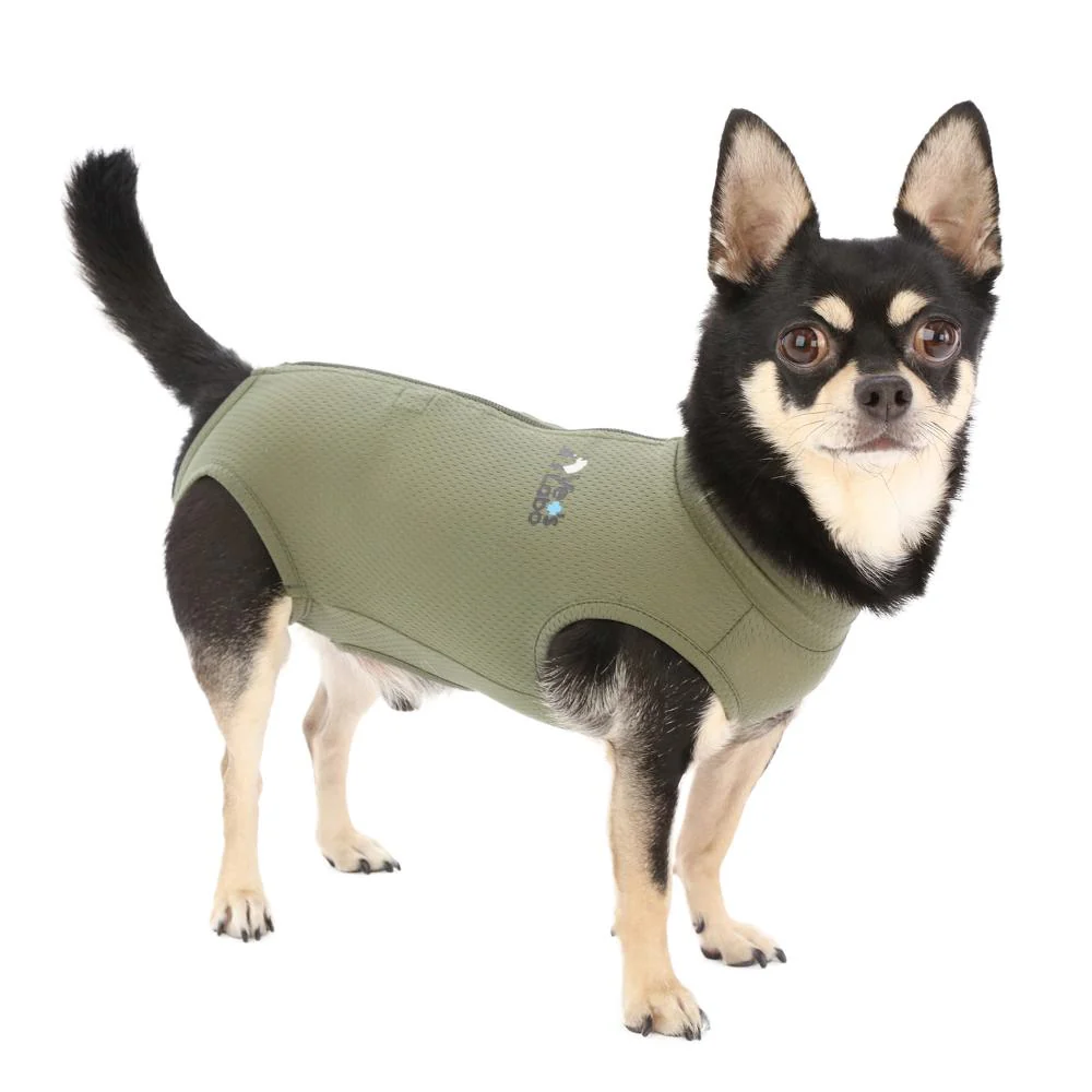 犬用 ベッツウェア 男の子用 カーキ XS 【直送品】 返品・キャンセル・他商品と同時購入は不可 - Image 4