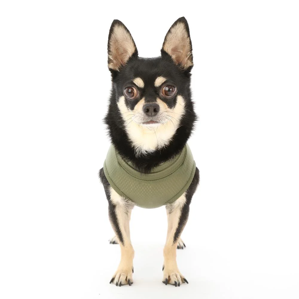 犬用 ベッツウェア 男の子用 カーキ XS 【直送品】 返品・キャンセル・他商品と同時購入は不可 - Image 5