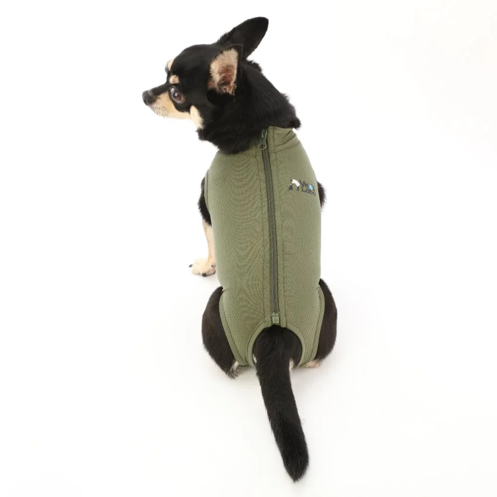 犬用 ベッツウェア 男の子用 カーキ L 【直送品】 返品・キャンセル・他商品と同時購入は不可 - Image 6