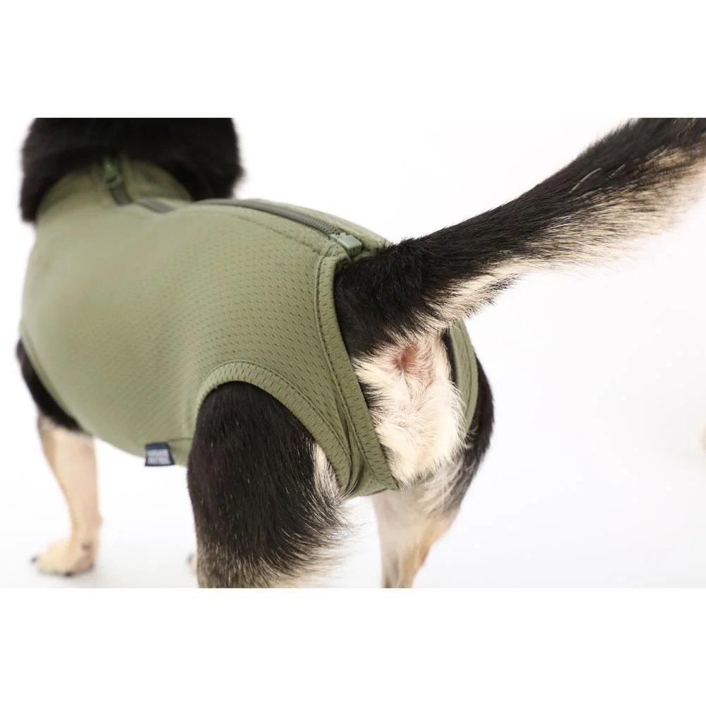 犬用 ベッツウェア 男の子用 カーキ XL 【直送品】 返品・キャンセル・他商品と同時購入は不可 - Image 8
