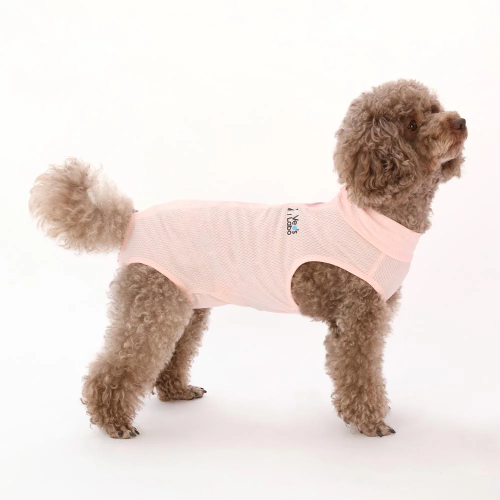 犬用 ベッツウェア 女の子用 ピンク XS 【直送品】 返品・キャンセル・他商品と同時購入は不可 - Image 4