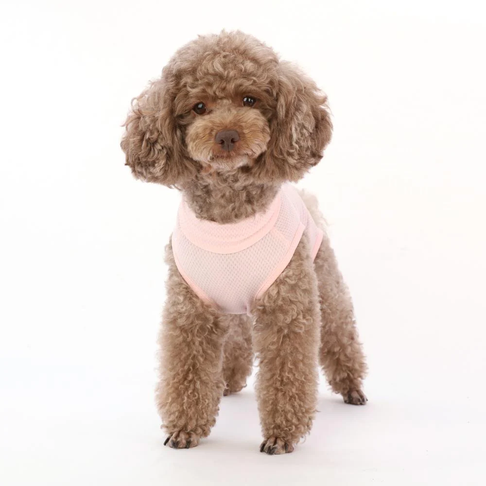 犬用 ベッツウェア 女の子用 ピンク XL 【直送品】 返品・キャンセル・他商品と同時購入は不可 - Image 5
