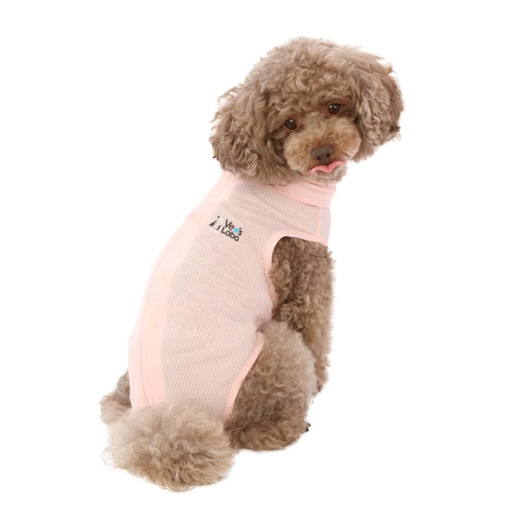 犬用 ベッツウェア 女の子用 ピンク XL 【直送品】 返品・キャンセル・他商品と同時購入は不可 - Image 6