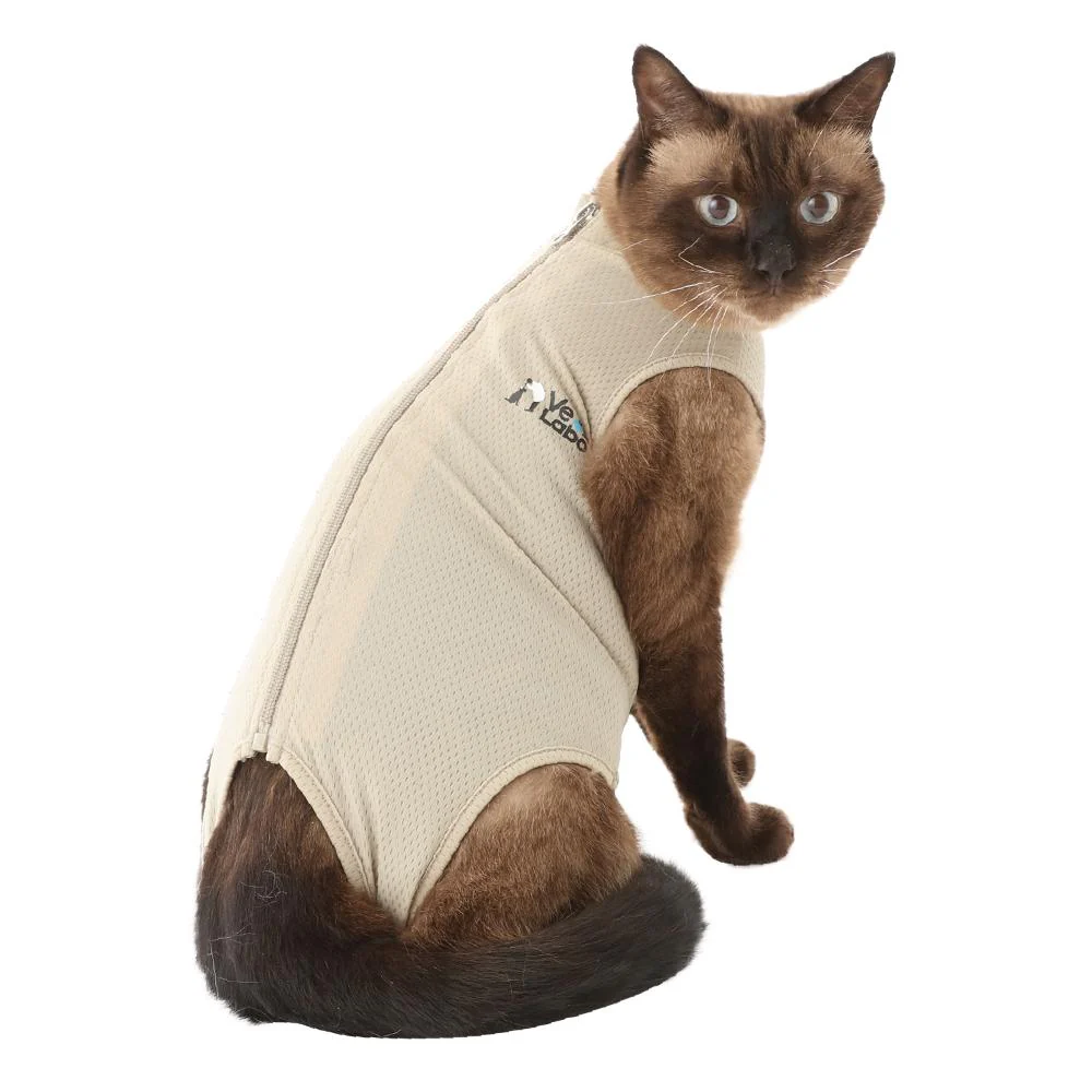 猫用 ベッツウェア グレージュ XL 【直送品】 返品・キャンセル・他商品と同時購入は不可 - Image 4