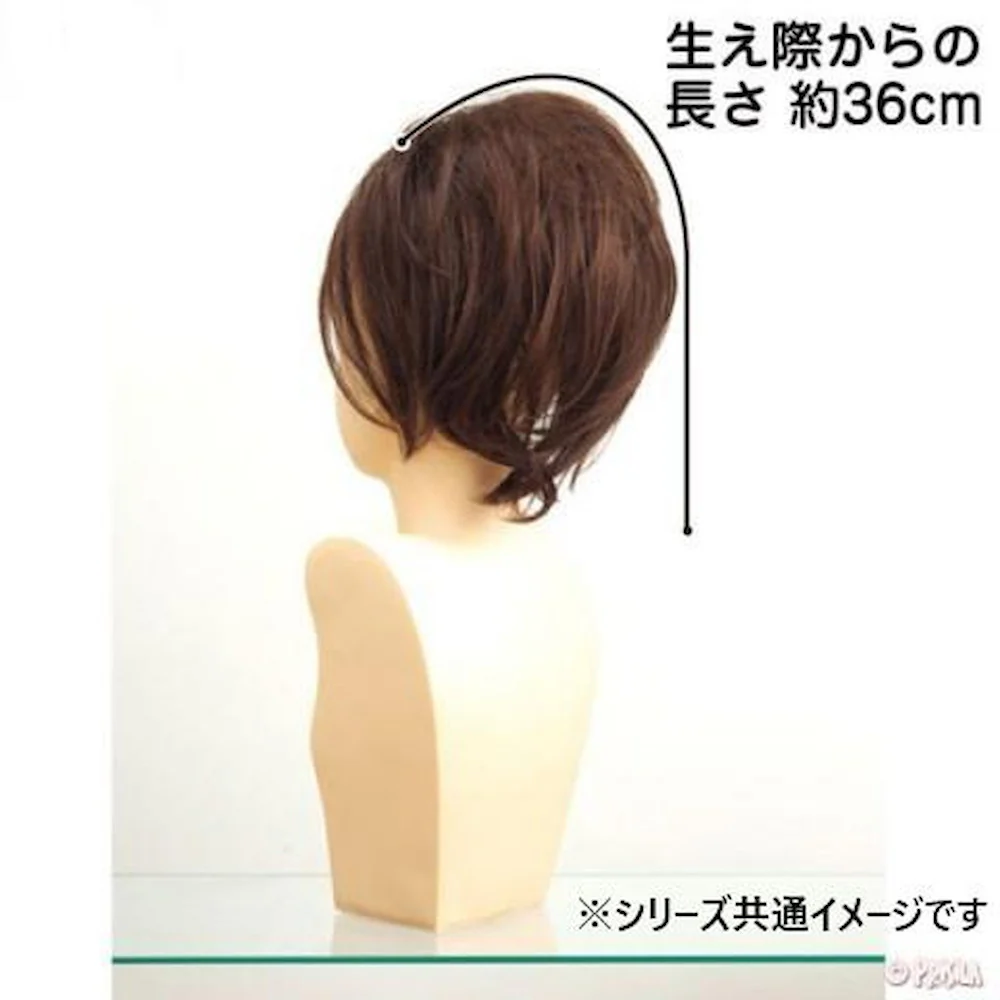 プリシラ ボリュ巻きウィッグ レディカワストレート 耐熱 【直送品】 返品・キャンセル・他商品と同時購入は不可 - Image 2