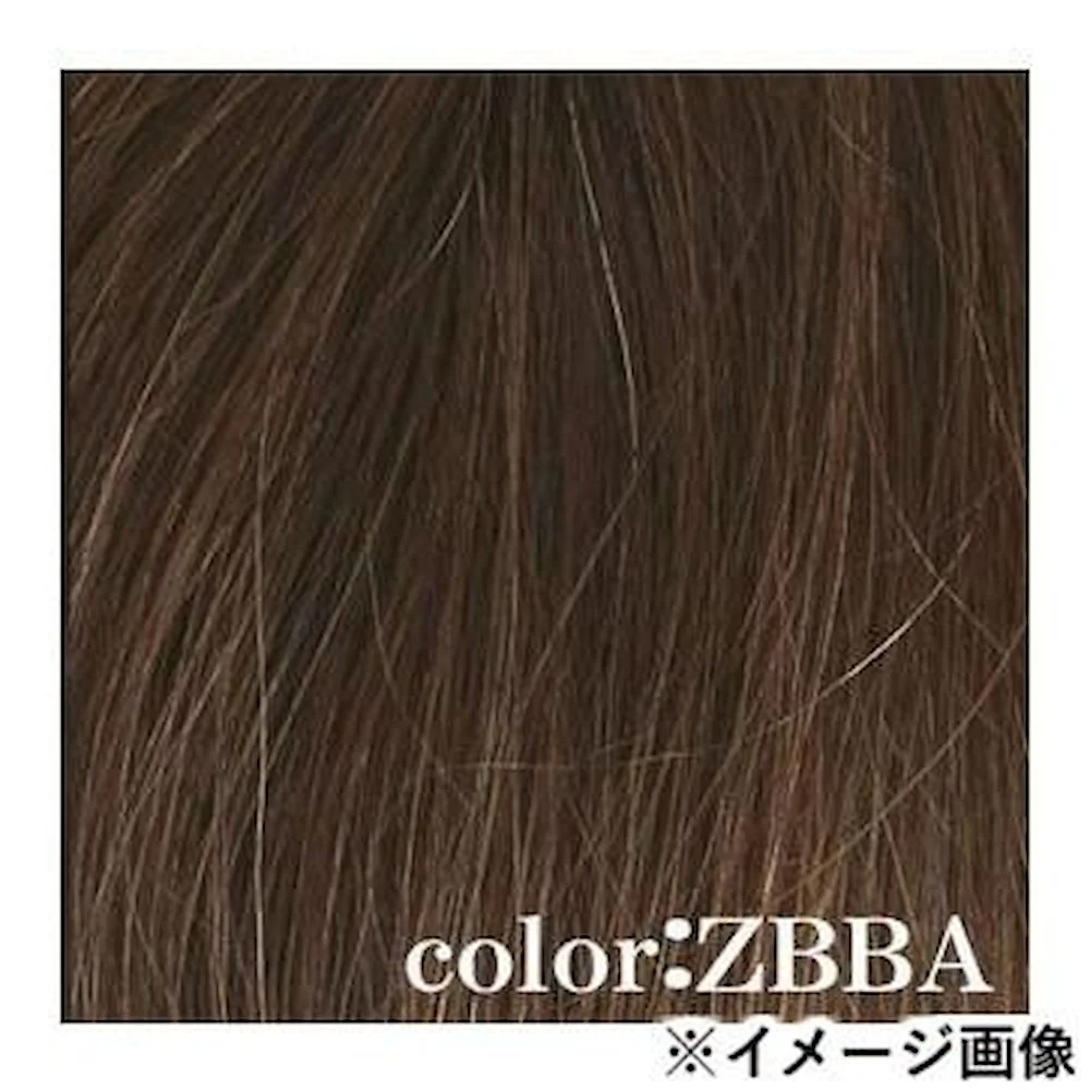 プリシラ 白髪かくしウィッグ 人毛100％ 分け目タイプ 人毛 【直送品】 返品・キャンセル・他商品と同時購入は不可 - Image 2