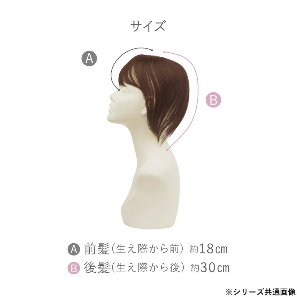 プリシラ 白髪かくしウィッグ 人毛100％  ロング 人毛 【直送品】 返品・キャンセル・他商品と同時購入は不可 - Image 3