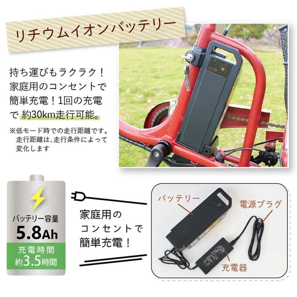 E-PARTON ロータイプ電動アシスト三輪自転車 【直送品】 返品・キャンセル・他商品と同時購入は不可 - Image 5