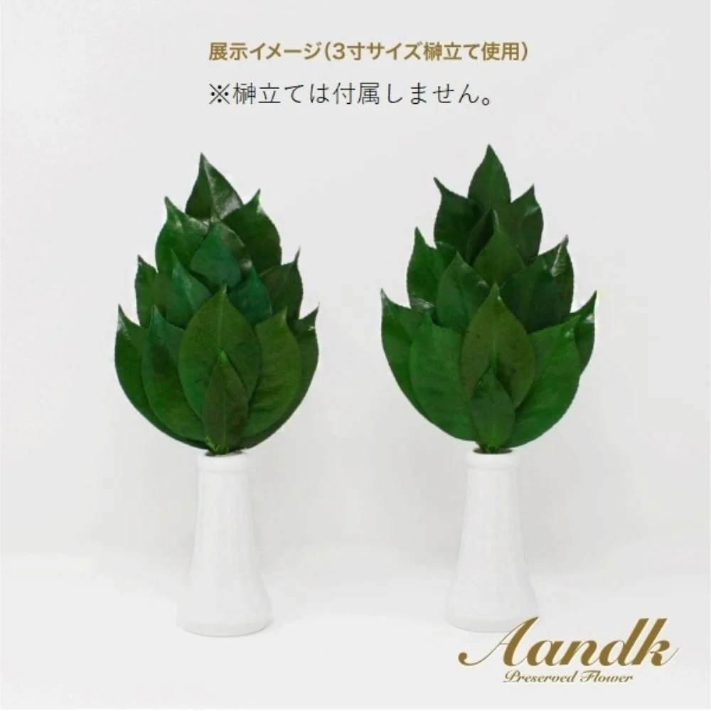 榊 プレミアムプリザーブドS FS-003SV 【直送品】 返品・キャンセル・他商品と同時購入は不可 - Image 4
