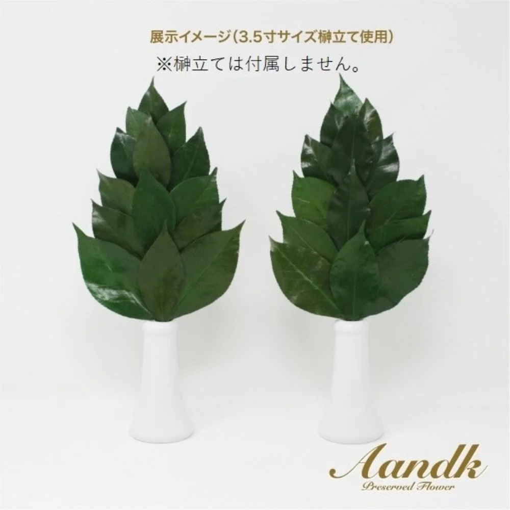 榊 プレミアムプリザーブド 榊 M FS-004M 【直送品】 返品・キャンセル・他商品と同時購入は不可 - Image 3