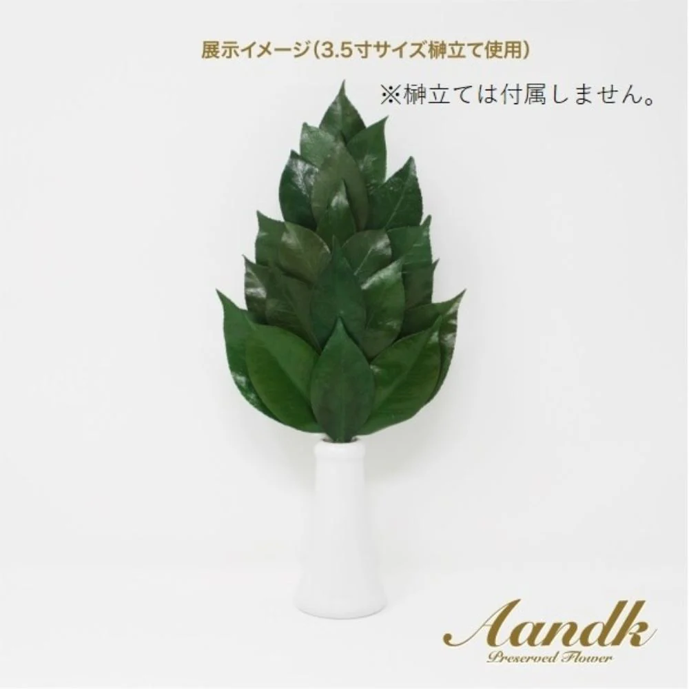 榊 プレミアムプリザーブドM FS-005MV 【直送品】 返品・キャンセル・他商品と同時購入は不可 - Image 2