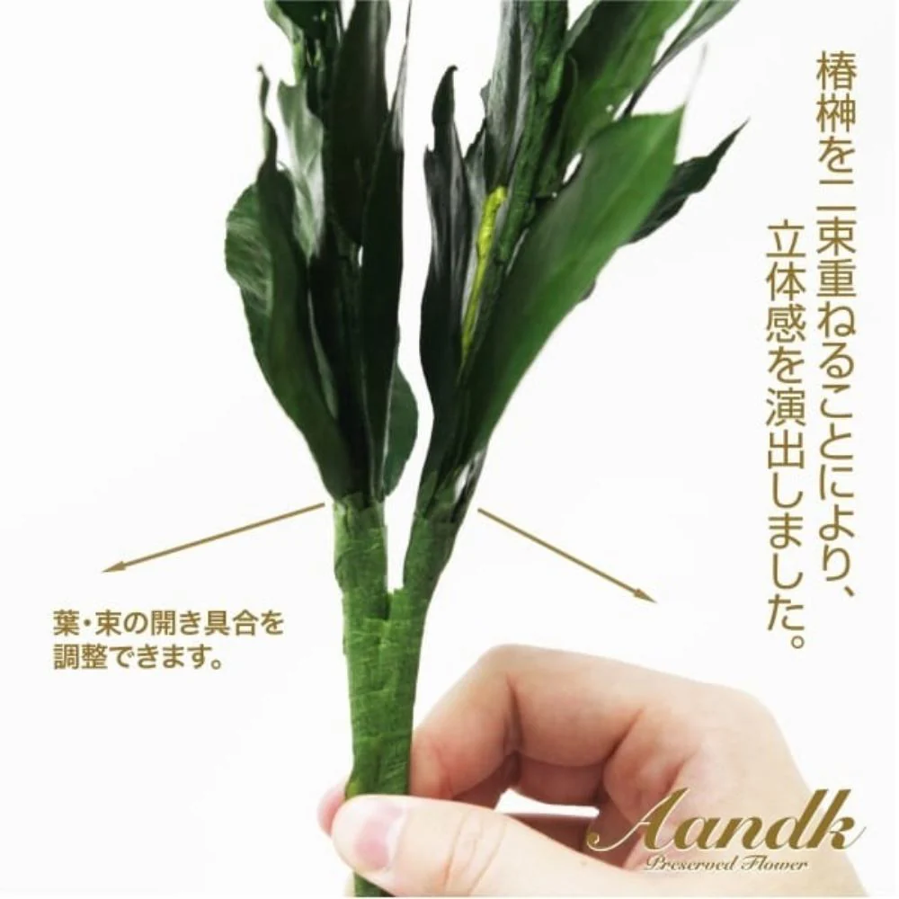 榊 プレミアムプリザーブドM FS-005MV 【直送品】 返品・キャンセル・他商品と同時購入は不可 - Image 4