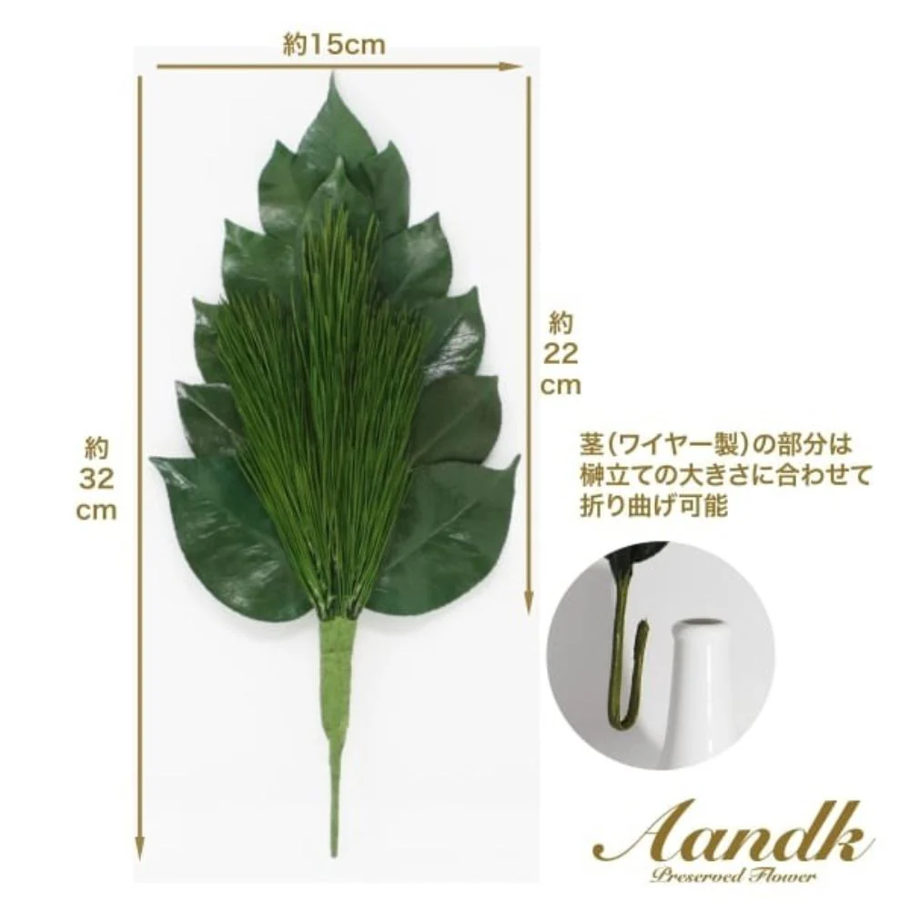 榊 プレミアムプリザーブド 荒神松 M FK-007M 【直送品】 返品・キャンセル・他商品と同時購入は不可 - Image 2